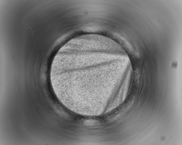 X0000103160400200809192058