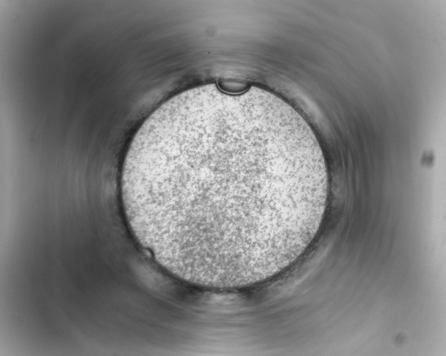 X0000103160401200809192058