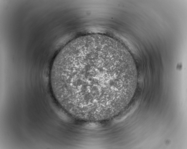 X0000103160402200809192058