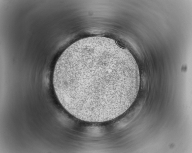 X0000103160404200809192058