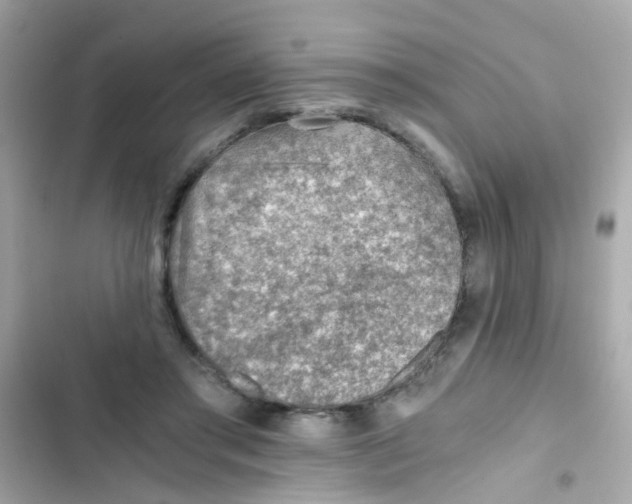X0000103160405200809192058