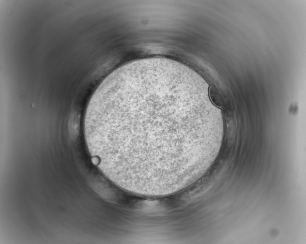 X0000103160406200809192058