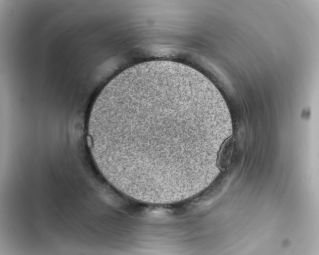 X0000103160407200809192058