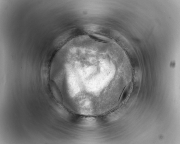 X0000103160409200809192058