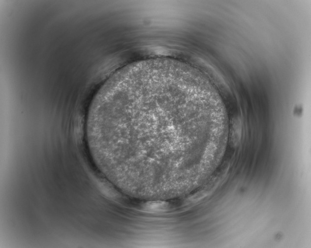 X0000103160410200809192058