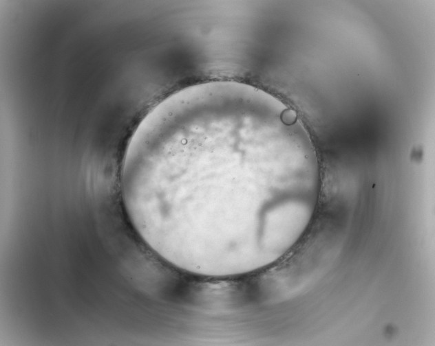X0000103160411200809192058