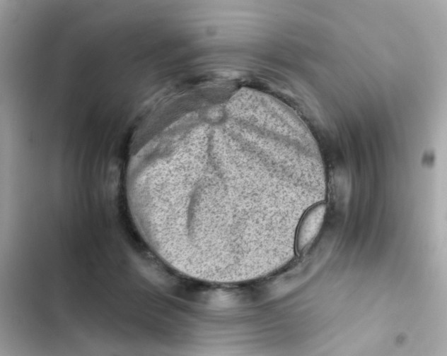 X0000103160412200809192058