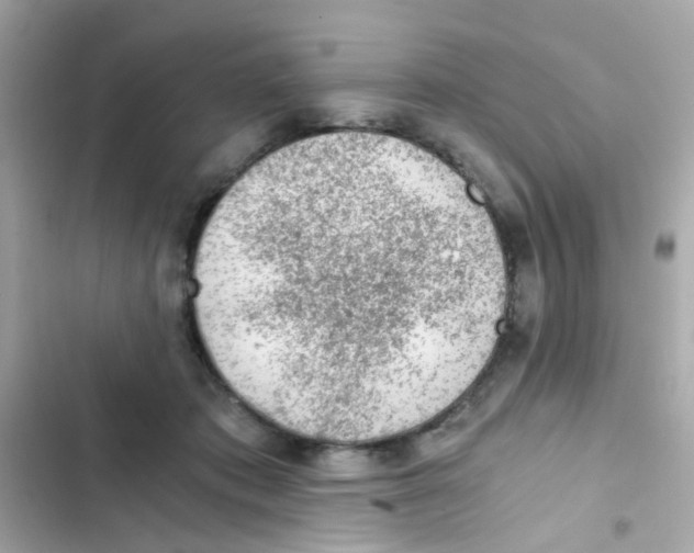 X0000103160413200809192058