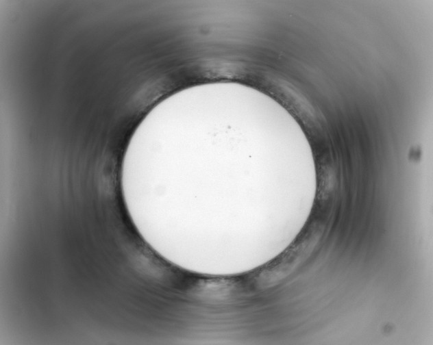 X0000103160414200809192058