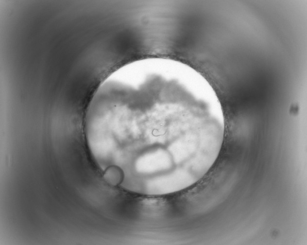 X0000103160415200809192058