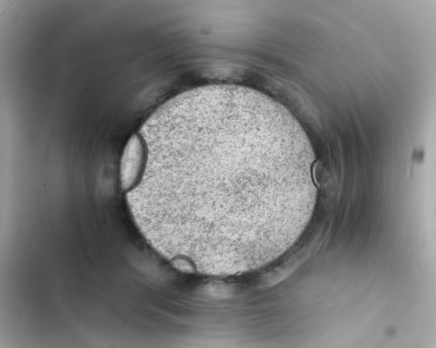 X0000103160416200809192058