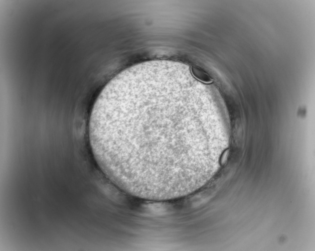X0000103160417200809192058