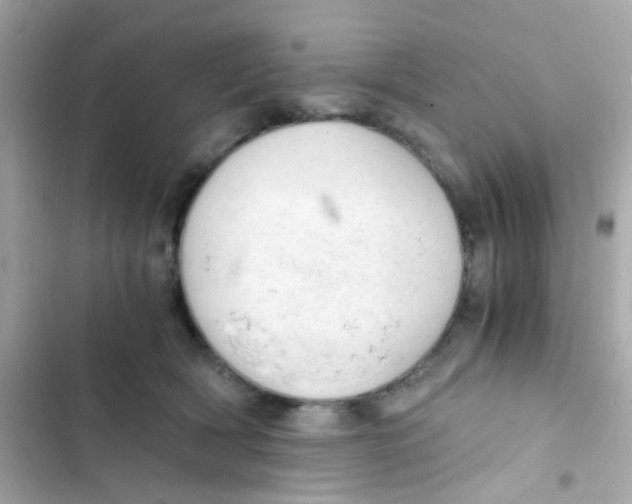 X0000103160418200809192058