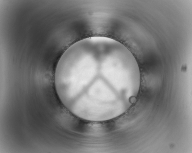 X0000103160419200809192058