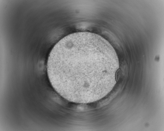 X0000103160420200809192058