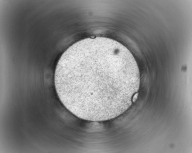 X0000103160421200809192058