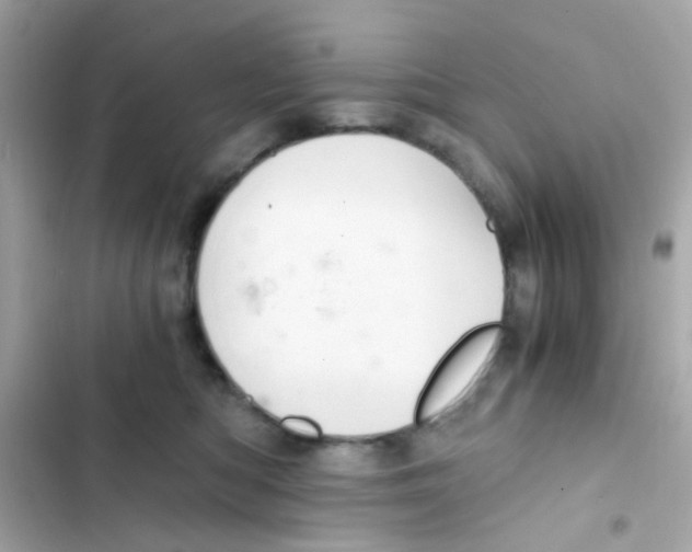 X0000103160422200809192058