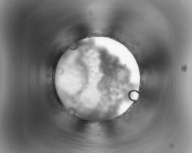 X0000103160423200809192058