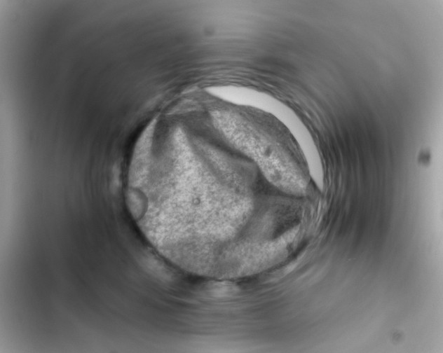 X0000103160424200809192058