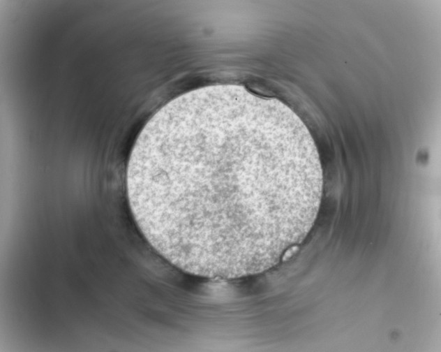 X0000103160425200809192058
