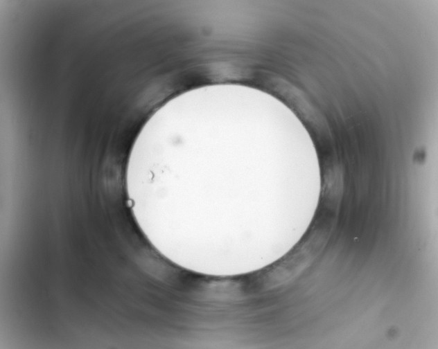 X0000103160426200809192058