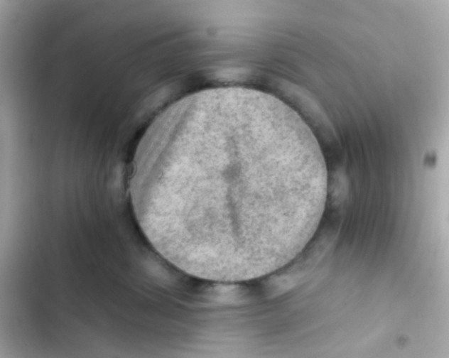 X0000103160428200809192058