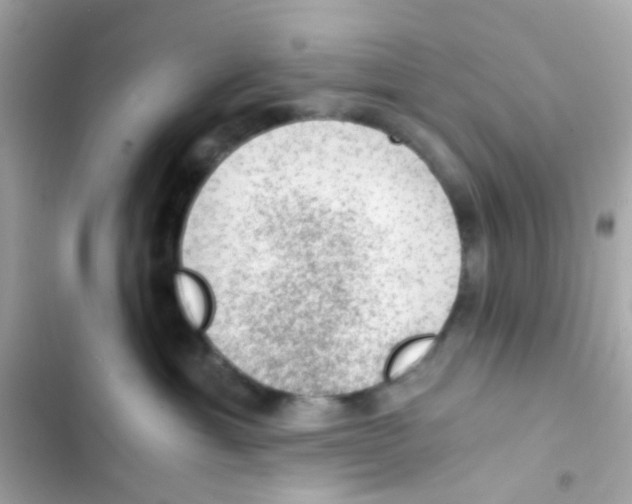 X0000103160429200809192057