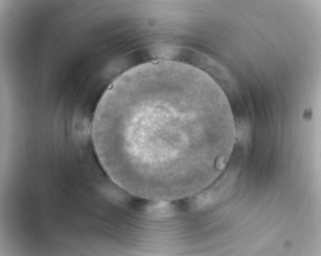 X0000103160431200809192057