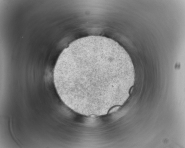 X0000103160432200809192057