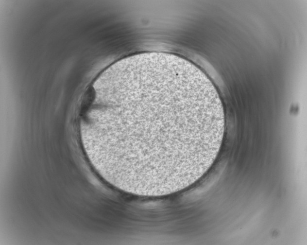 X0000103160433200809192057