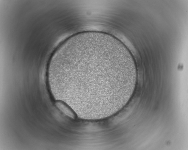X0000103160434200809192057