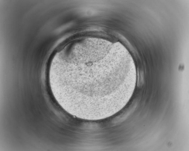 X0000103160435200809192057