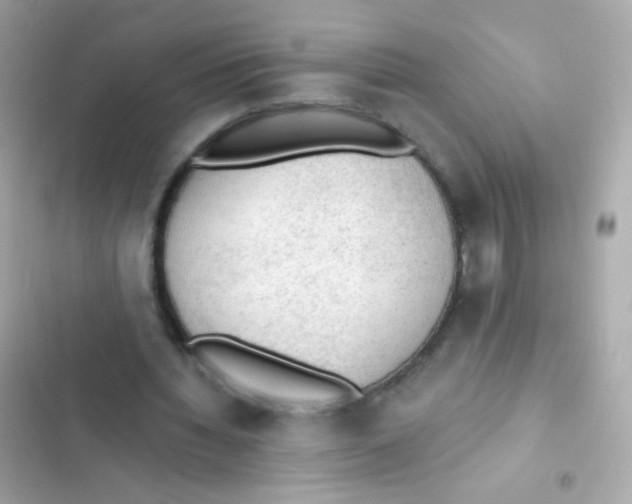 X0000103160436200809192057