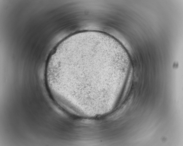X0000103160437200809192057