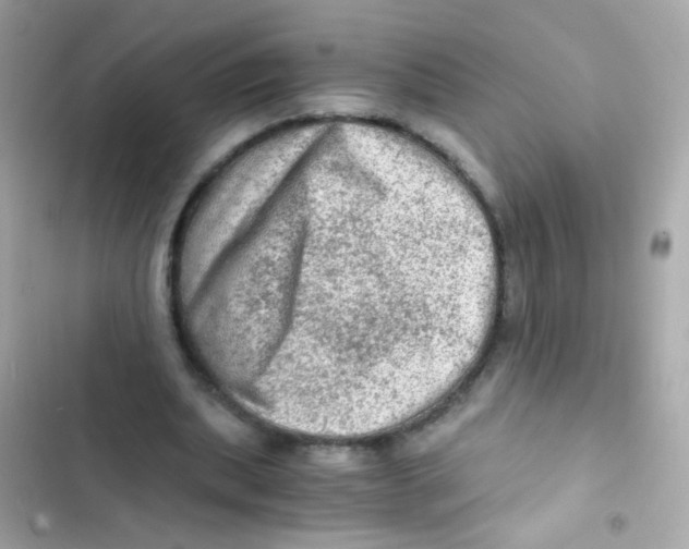 X0000103160439200809192057
