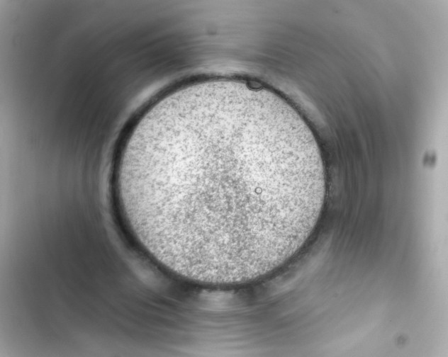 X0000103160440200809192057
