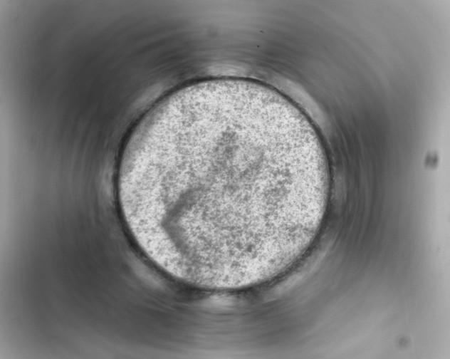 X0000103160441200809192057