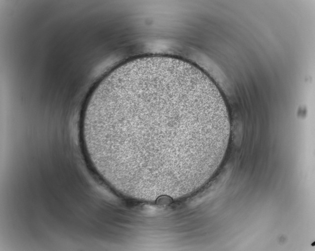 X0000103160442200809192057