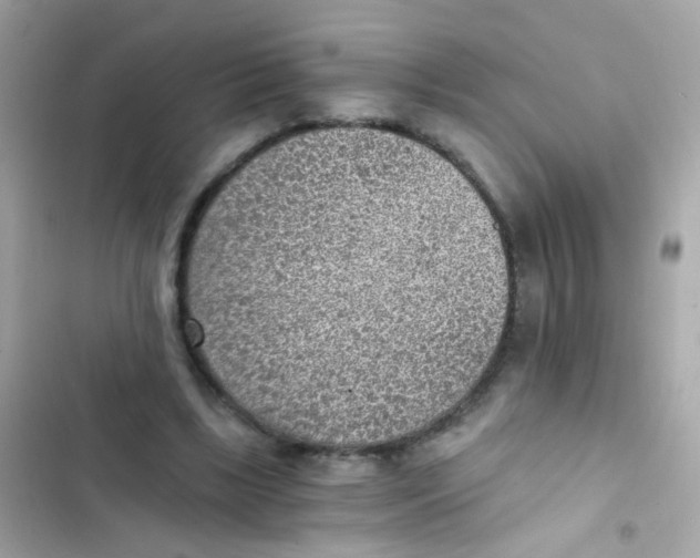 X0000103160443200809192057