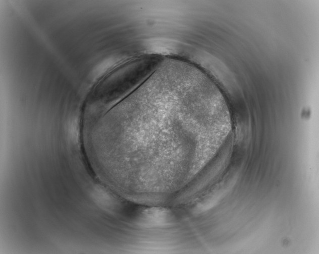 X0000103160444200809192057