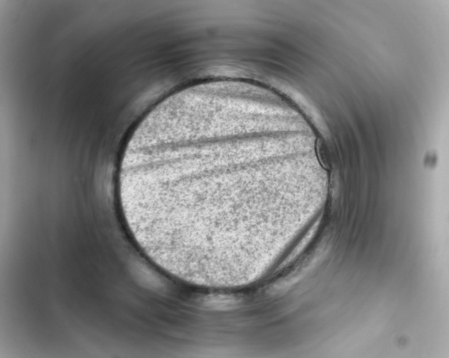 X0000103160445200809192057