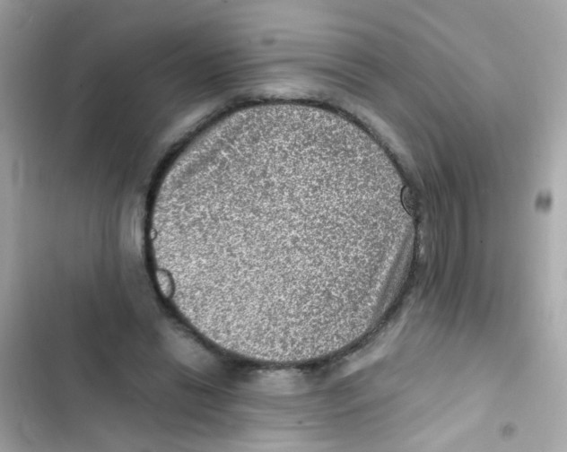 X0000103160446200809192057