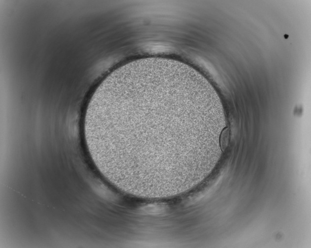 X0000103160447200809192057