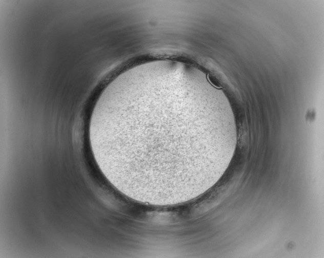 X0000103160448200809192057