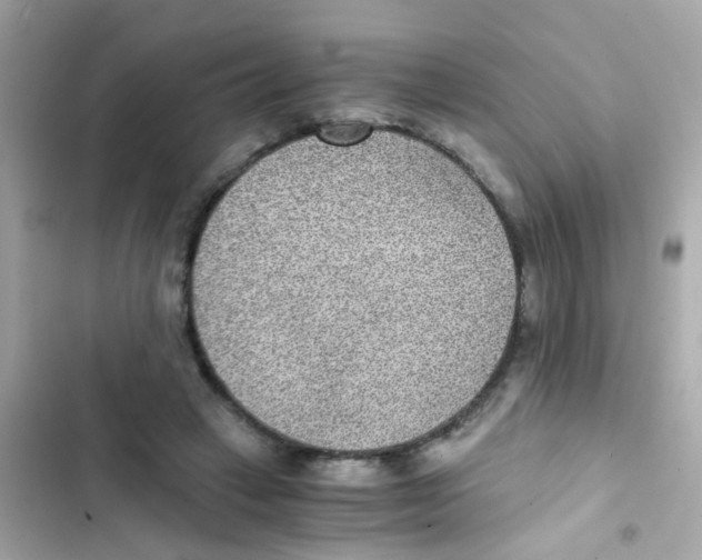 X0000103160449200809192057
