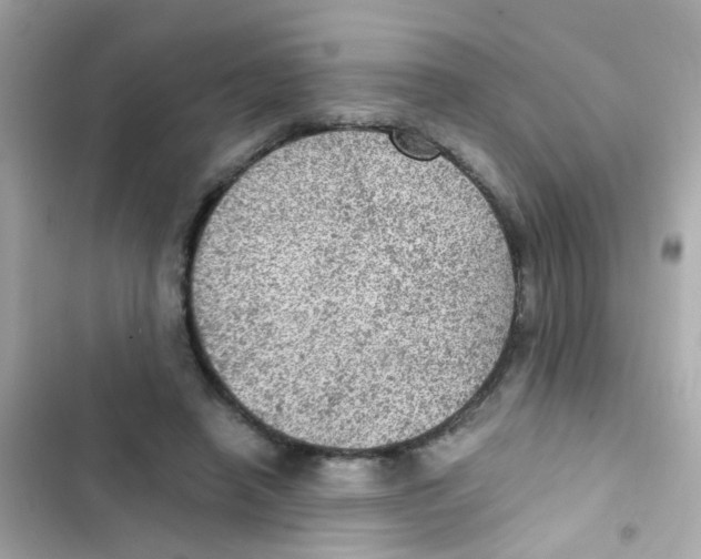 X0000103160450200809192057