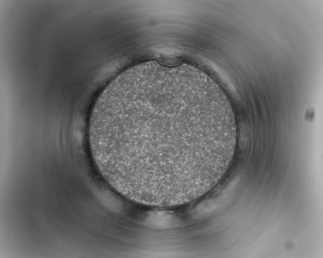 X0000103160451200809192057