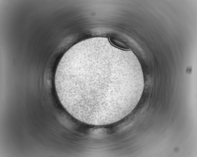 X0000103160452200809192057