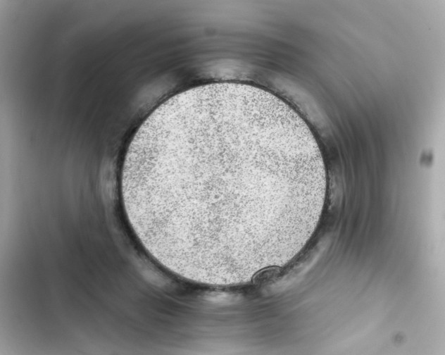 X0000103160453200809192057