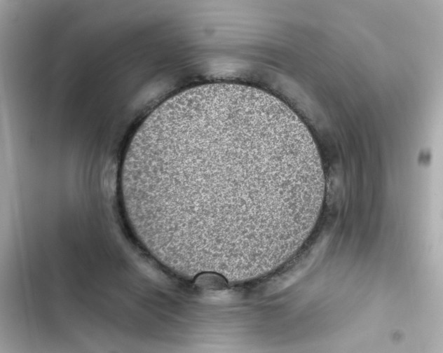 X0000103160454200809192057